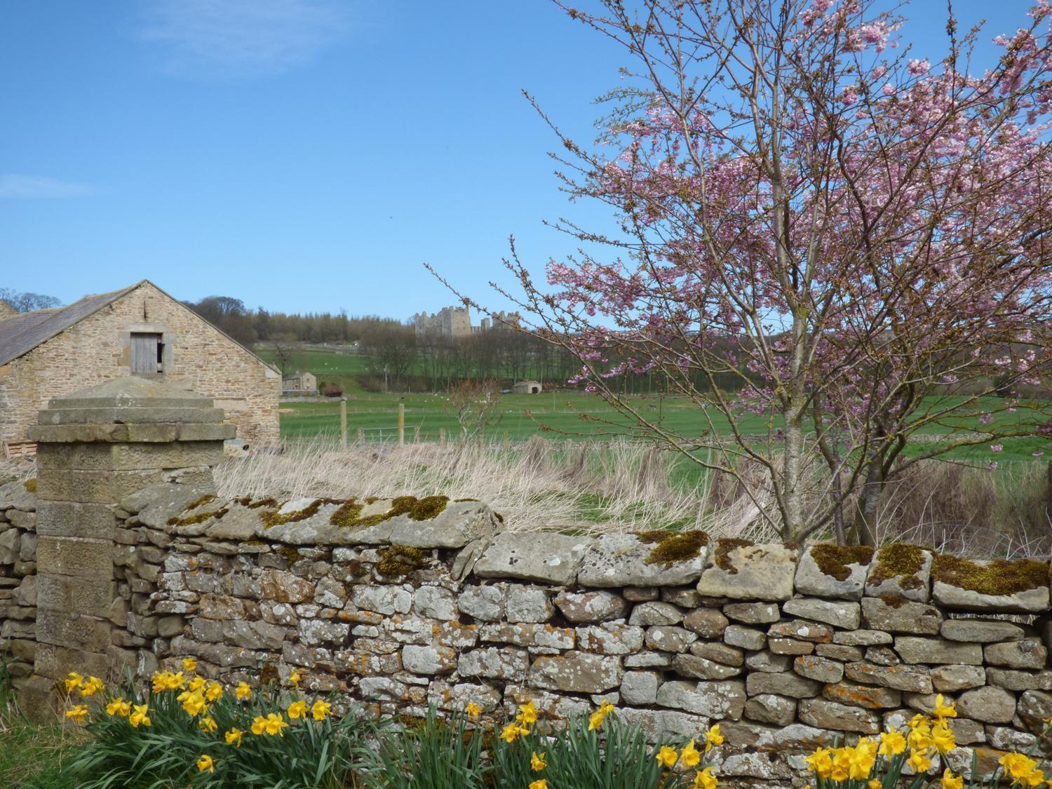 Barn Cottage West Burton Exterior foto